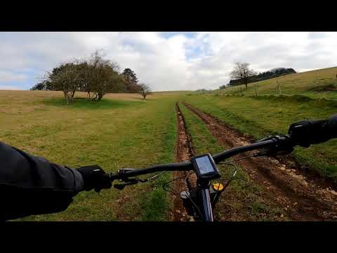 2021 Ragley Bigwig Review. (First Impressions).