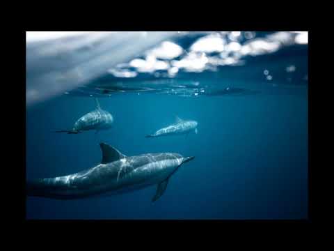 Wager With Angels   Nathan Moore 1 Hour