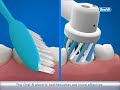 Dantų šepetėlis EB60-2 Braun Oral-B SENSI Labai labai plonas Elektrinio Dantų Šepetėlio Galvutės