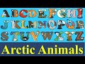ABC Alphabet Arctic Animal Abc Book Alphabetimals For Kids Animal Alphabet A To Z Flash Cards