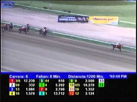 Resumen La Rinconada - viernes 16 de noviembre de 2012