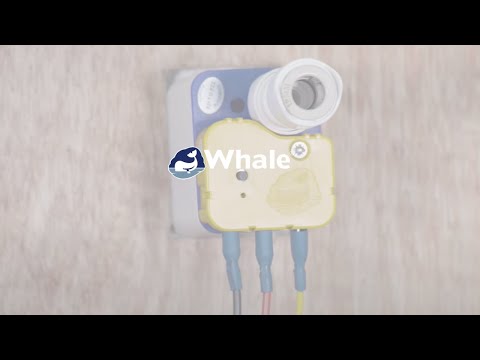 Whale | How to Calibrate Your Whale Watermaster IC
