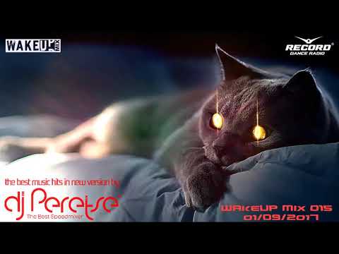 DJ Peretse 🌶 Record WakeUp Mix #015 LED DJS Best dance music mix [Speedmix 01/09/2017]