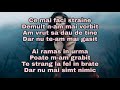 Ce mai faci străine Smiley Lyrics V
