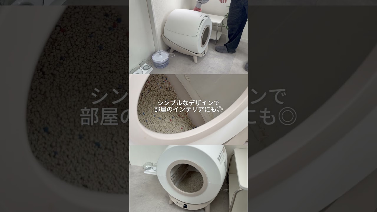 ねことの暮らしおすすめアイテム 第１位✨