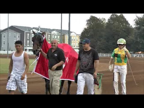 The Red Mile 10/5, Shebestingin & Captaintreacherous