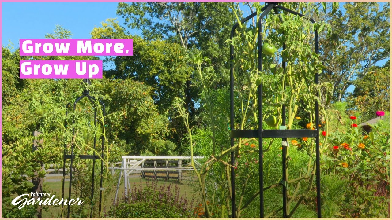 Vertical Farming | Volunteer Gardener