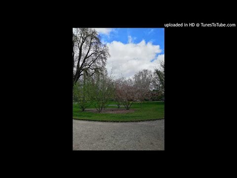 Spyro the Dragon Soundtrack - Lofty Castle