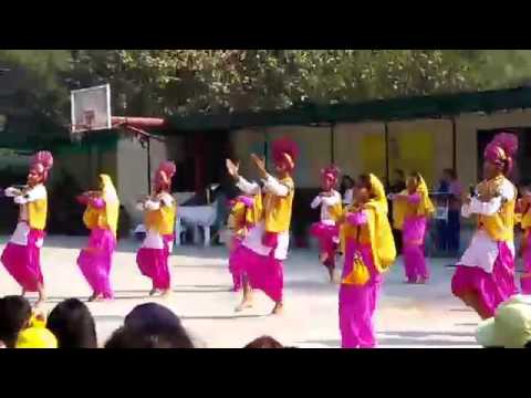 APS AMBALA BHANGRA 2016 part 2