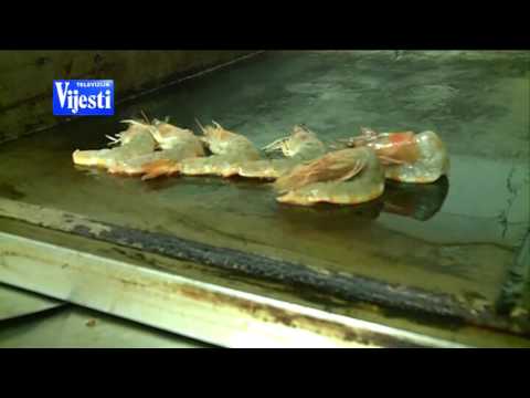 Restoran PROVA gambori i spagete sa tartufima BOJE LJETA