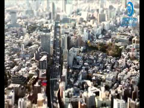 Poultry Chlortetracycline Powder