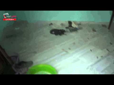 تمشيط أحد المباني التي كان يتمركز فيها عناصر النظام في حي صلاح الدين في حلب من قبل كتيبة ذو النورين