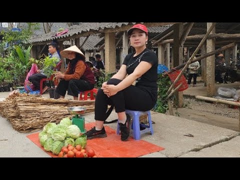 Harvesting chayote, tomatoes, and gourds to bring to the market