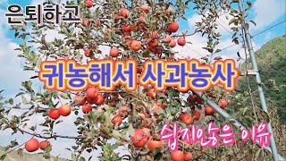 은퇴하고 귀농해서 사과농사 성공할수 있을까?