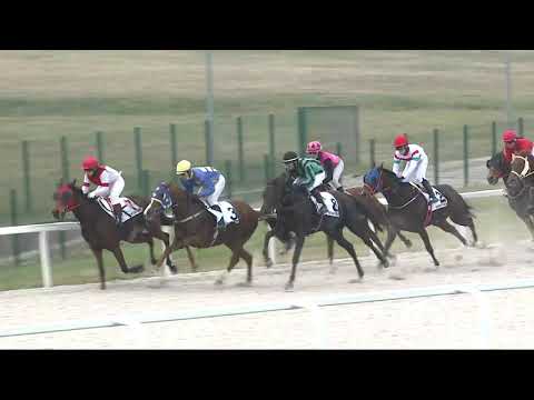 2021.11.14. 04. futam - BÉNYI ZOLTÁN "PINOKKIO" EMLÉKVERSENY (V.kat.) (szintetikus pálya)