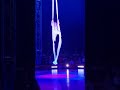 NYC Big Apple Circus