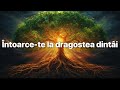 Întoarce Te La Dragostea Dintâi Cover