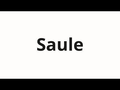 How to pronounce Saule