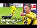 Erling Haaland - 25 Goals in 25 Games