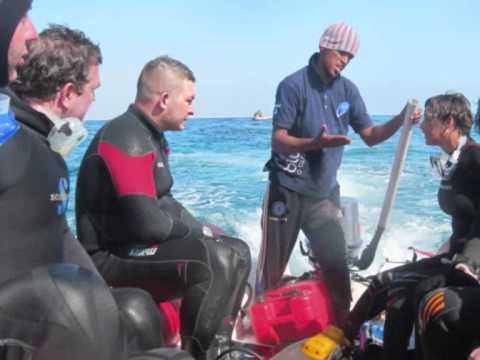 Diving in Egypt with Lodge Scuba - Brothers and North