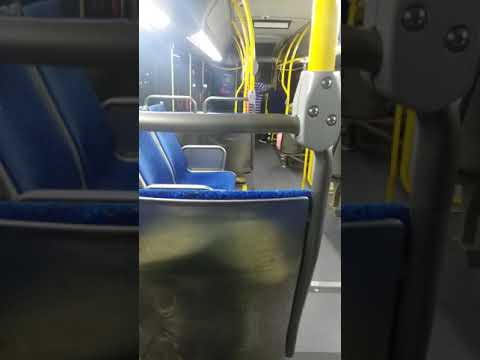 Max80 Houston