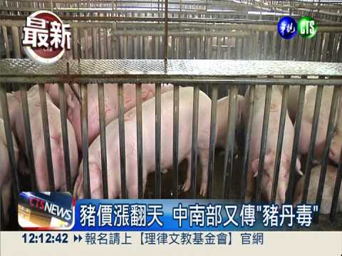 中南部傳"豬丹毒" 豬價雪上加霜