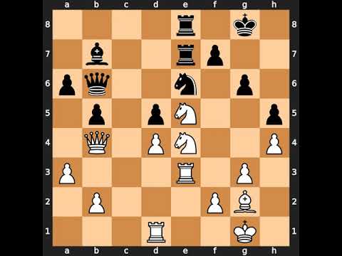 Evgeniy Najer(2616) vs Ildar Ibragimov(2571) | Event: Anibal Open | 2001.01.18