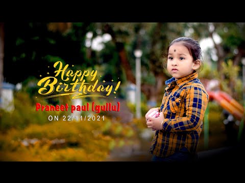 Praneet (Gullu) Happy Birthday High Light Video