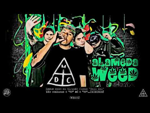 Costa Gold  - Alameda Weed