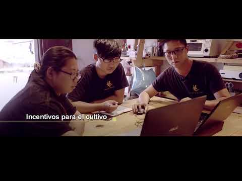 Spanish - Pertanian Taiwan menghubungkan dunia