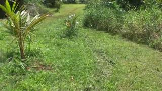 Lawnmower 4/13 The Magnetic Fields - Reno Dakota