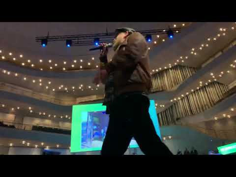 Flo Mega Ferddich Live in Hamburg Elbphilharmonie
