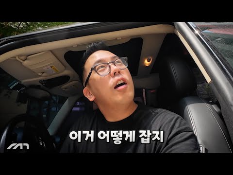 600만원주고 사온 데일리카의 유일한 단점 (생각보다 중요)