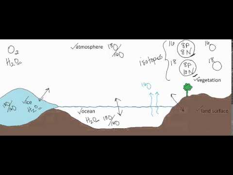 Oxygen Isotopes and the Paleoclimate Record