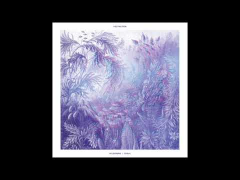 Polynation - Wildeburg