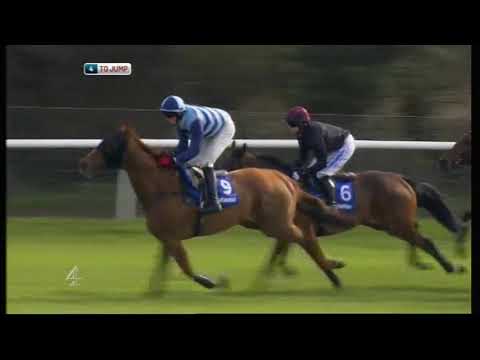 2012 Neptune Investment Management Novices' Hurdle - Cheltenham Festival