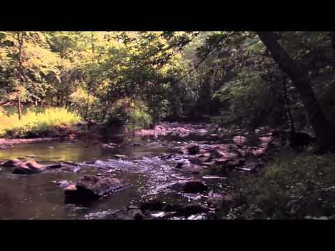 Carlitta Durand   Lost love feat  Jabee