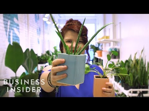 Why Millennials Are Obsessed With Plants