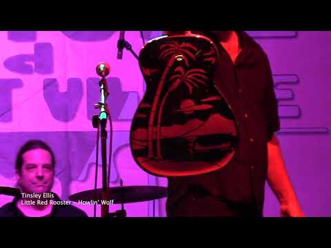 Tinsley Ellis - Little Red Rooster - Howlin’ Wolf
