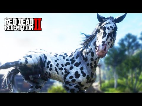 OS MELHORES CAVALOS DO JOGO - Feira de Cavalos de Rhodes -  Red Dead Redemption 2