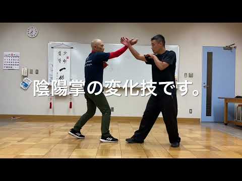 通背拳・扌率拍掌(陰陽掌)