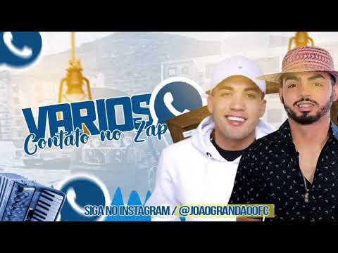 JOÃO GRANDÃO E MC BRISOLA - VÁRIOS CONTATO NO ZAP / VÁRIOS NUDS NO DIRECT