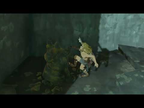 BRAND NEW SECRET MOVE IN TOTK