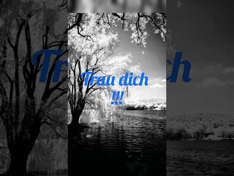 #glück #liebe #selbstliebe #motivation #sprüchezumnachdenken #nächstenliebe #tiktok #erfolg #liebe