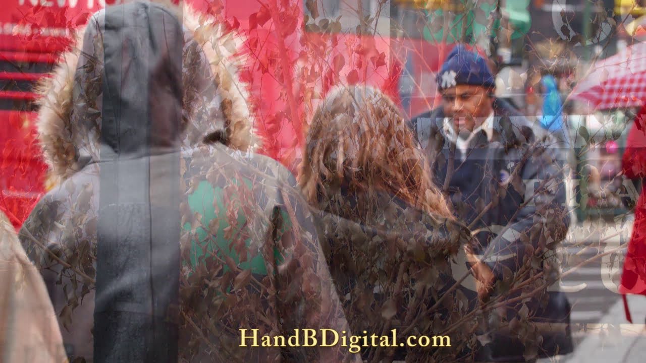 Объектив Olympus M.Zuiko Digital 75-300mm f/4.8-6.7 II,  черный