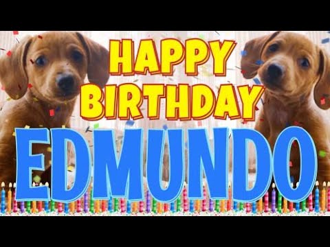 Happy Birthday Edmundo! ( Funny Talking Dogs ) What Is Free On My Birthday
