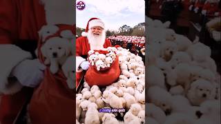Santa Claus is coming to town😱🎅🎄 #santa #santaclaus #shorts #short #shortvideo