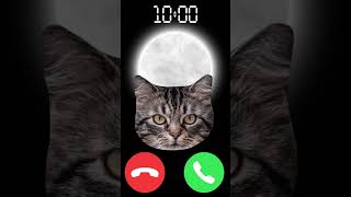Download lagu #iphone #cat #ringtone #shortvideo #kitten mp3