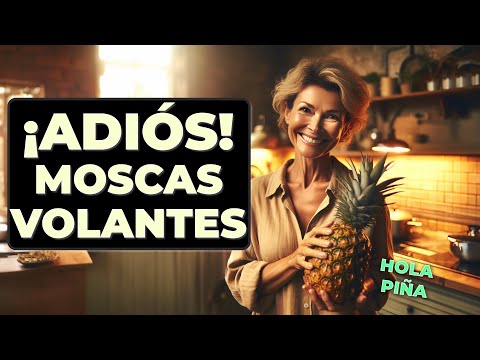 🍍He PROBADO la PIÑA para curar mis MOSCAS VOLANTES!!