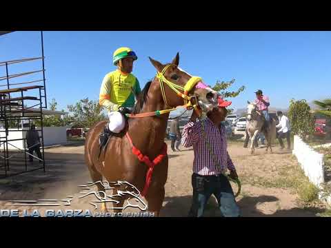 SATEVO RACE TRACK | THE EMPRESS | MATURITY SEMIFINAL | 325 RODS